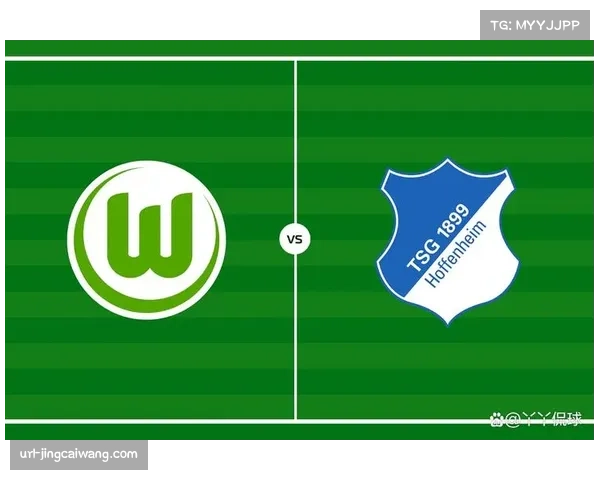 德甲战报：霍芬海姆3-2奥格斯堡，双方合计完成45次在前场三分之一区域的夺回球权